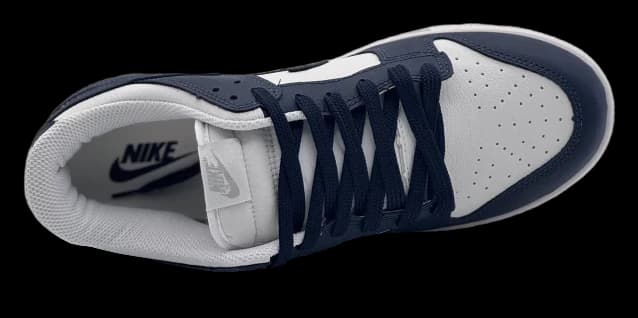 Dunk Low Azules 4