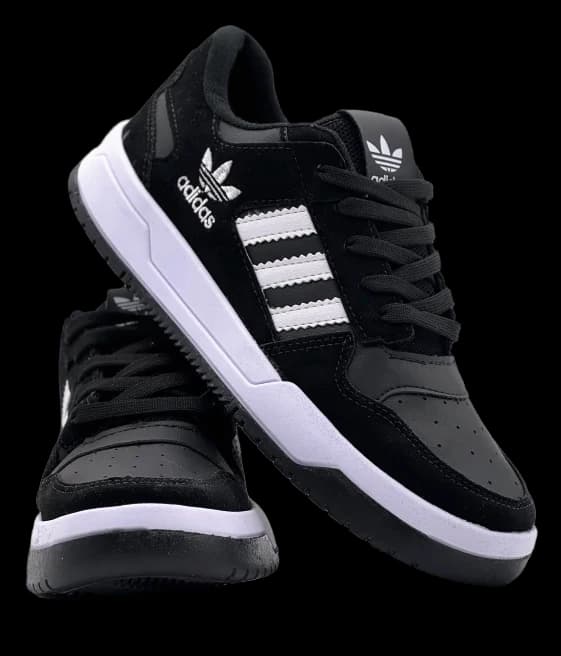 Forum Negras 6